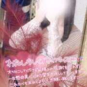 タルト 時効の速さ 桃李（とうり）