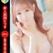 ヒメ日記 2025/06/01 12:22 投稿 さな C.C.CATS