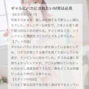 ヒメ日記 2025/06/04 20:02 投稿 さな C.C.CATS