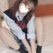 ヒメ日記 2025/07/14 12:22 投稿 さな C.C.CATS