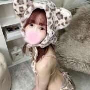 ヒメ日記 2025/07/23 12:22 投稿 さな C.C.CATS