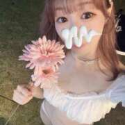 ヒメ日記 2025/08/29 16:21 投稿 さな C.C.CATS