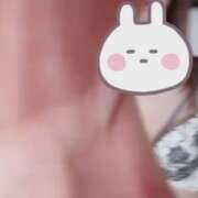 ヒメ日記 2025/09/05 00:02 投稿 さな C.C.CATS