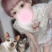 ヒメ日記 2025/09/11 18:02 投稿 さな C.C.CATS