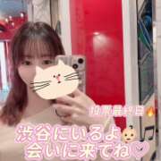 ヒメ日記 2025/11/03 16:02 投稿 さな C.C.CATS