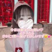 ヒメ日記 2025/11/24 17:42 投稿 さな C.C.CATS