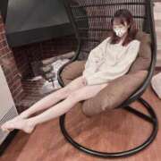 ヒメ日記 2025/12/21 12:42 投稿 さな C.C.CATS