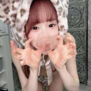 ヒメ日記 2026/01/18 00:42 投稿 さな C.C.CATS