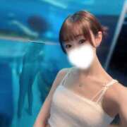 ヒメ日記 2026/06/08 14:22 投稿 さな CCキャッツ
