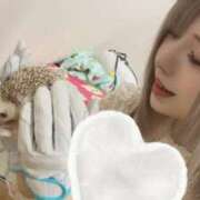 ヒメ日記 2025/12/23 22:38 投稿 つみき【元AV女優】 ピーチハニー