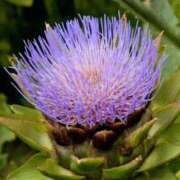 ヒメ日記 2025/06/04 08:54 投稿 陽菜多（ひなた）★愛くるしい美嬢 BITEKI