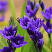 ヒメ日記 2025/06/06 09:03 投稿 陽菜多（ひなた）★愛くるしい美嬢 BITEKI