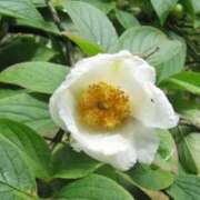 ヒメ日記 2025/06/16 08:44 投稿 陽菜多（ひなた）★愛くるしい美嬢 BITEKI