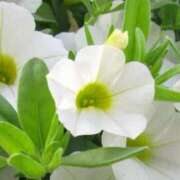 ヒメ日記 2025/06/20 08:38 投稿 陽菜多（ひなた）★愛くるしい美嬢 BITEKI