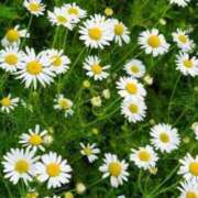 ヒメ日記 2025/06/23 08:40 投稿 陽菜多（ひなた）★愛くるしい美嬢 BITEKI