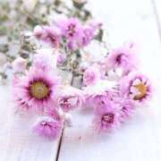 ヒメ日記 2025/06/27 08:40 投稿 陽菜多（ひなた）★愛くるしい美嬢 BITEKI