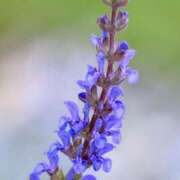 ヒメ日記 2025/06/30 08:38 投稿 陽菜多（ひなた）★愛くるしい美嬢 BITEKI