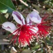 ヒメ日記 2025/07/01 08:39 投稿 陽菜多（ひなた）★愛くるしい美嬢 BITEKI