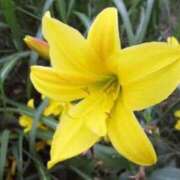 ヒメ日記 2025/07/09 08:43 投稿 陽菜多（ひなた）★愛くるしい美嬢 BITEKI