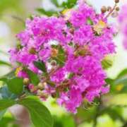 ヒメ日記 2025/07/18 07:35 投稿 陽菜多（ひなた）★愛くるしい美嬢 BITEKI