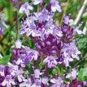 ヒメ日記 2025/08/27 23:54 投稿 陽菜多（ひなた）★愛くるしい美嬢 BITEKI