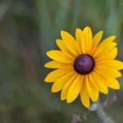 ヒメ日記 2025/09/24 08:40 投稿 陽菜多（ひなた）★愛くるしい美嬢 BITEKI