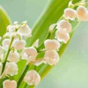 ヒメ日記 2025/09/29 08:35 投稿 陽菜多（ひなた）★愛くるしい美嬢 BITEKI