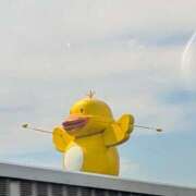 ヒメ日記 2025/10/03 08:18 投稿 陽菜多（ひなた）★愛くるしい美嬢 BITEKI