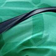 ヒメ日記 2025/11/18 11:43 投稿 りほ 熟女家 東大阪店（布施・長田）