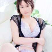 ヒメ日記 2025/06/26 11:04 投稿 かえで 桃李（とうり）