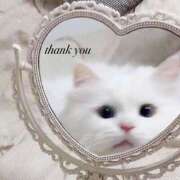 ヒメ日記 2025/07/20 12:19 投稿 れあ 天空のマット