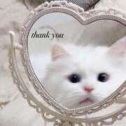 ヒメ日記 2025/08/23 14:51 投稿 れあ 天空のマット