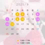 ヒメ日記 2025/08/31 08:14 投稿 れあ 天空のマット