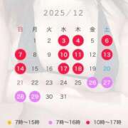 ヒメ日記 2025/11/18 13:51 投稿 れあ 天空のマット