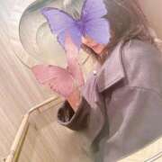 ヒメ日記 2025/11/26 08:41 投稿 れあ 天空のマット