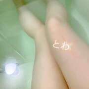 ヒメ日記 2025/05/31 17:47 投稿 とわ お姉ちゃんゴメンね