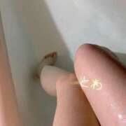 ヒメ日記 2025/07/24 17:29 投稿 とわ お姉ちゃんゴメンね