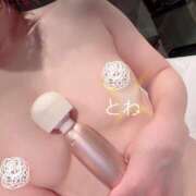 ヒメ日記 2025/07/24 20:45 投稿 とわ お姉ちゃんゴメンね