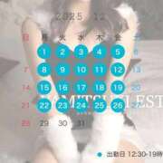 ヒメ日記 2025/12/17 16:08 投稿 倉科　れいな 密着ヌルヌル 高級やみつきエステ厚木店