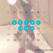 倉科　れいな 1月前半予定表🩵 密着ヌルヌル 高級やみつきエステ厚木店