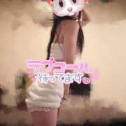 ヒメ日記 2025/05/31 17:01 投稿 みかづき 恋するバニー