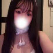 ヒメ日記 2025/06/29 12:20 投稿 みかづき 恋するバニー