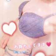 ヒメ日記 2025/07/02 07:01 投稿 こと 千姫(道後)