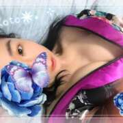 ヒメ日記 2026/04/15 14:30 投稿 こと 千姫(道後)