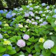 ヒメ日記 2026/06/24 23:46 投稿 こと 千姫(道後)