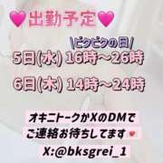 れい びくびくする？ びくびくサークル五反田店