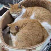 うらら 寒すぎてぎゅーしたい🥺 川崎・東横人妻城