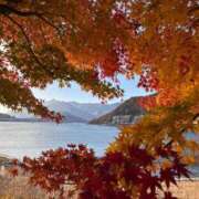 ヒメ日記 2025/11/16 22:04 投稿 みすず Second Love（セカンドラブ）