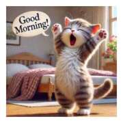 ヒメ日記 2025/08/25 08:42 投稿 ふう 素人ぶっかけ〇〇取手店