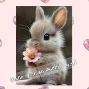 ヒメ日記 2025/11/11 05:30 投稿 ふう 素人ぶっかけ〇〇取手店